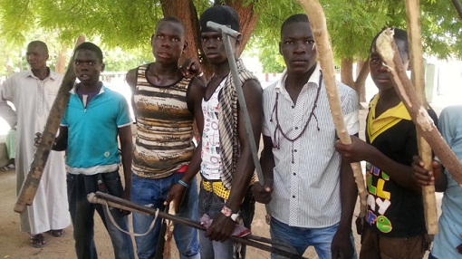 Boko Haram Fighters Killed Vigilantes
